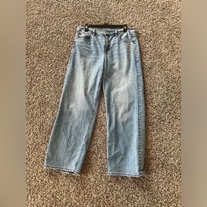 AE Strigid Wide Leg Relaxed Jeans